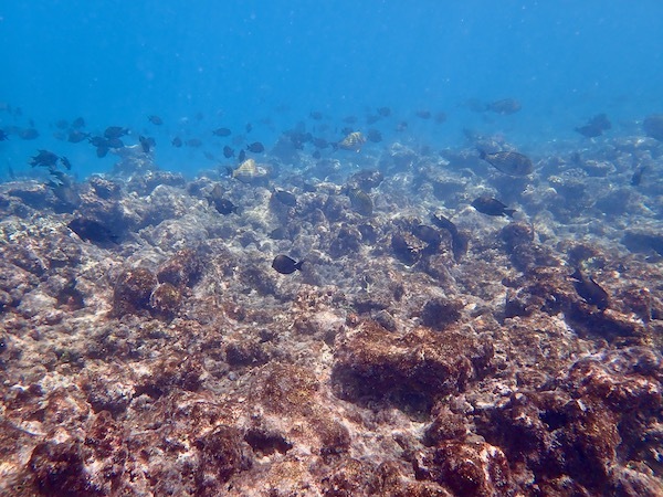 e0387424_11103035.jpg