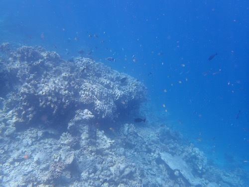 e0387424_11103075.jpg