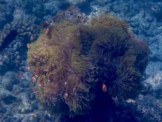 e0387424_11104809.jpg