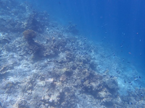 e0387424_11104838.jpg