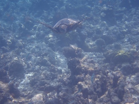 e0387424_11160509.jpg
