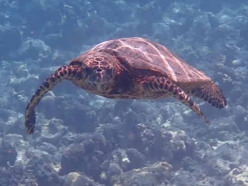 e0387424_11160558.jpg