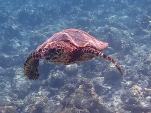 e0387424_11160577.jpg