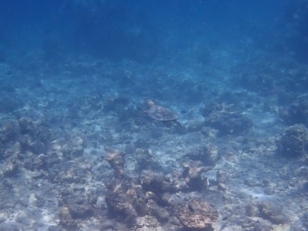 e0387424_11170302.jpg