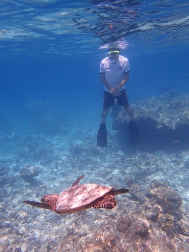 e0387424_11170357.jpg