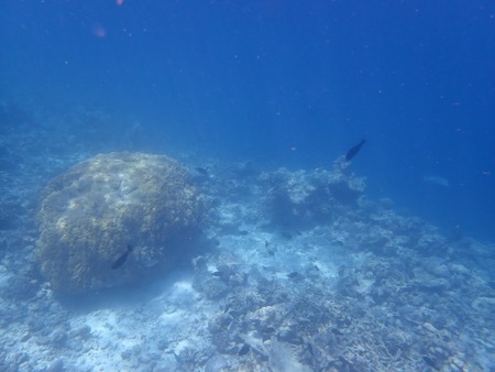 e0387424_11180211.jpg
