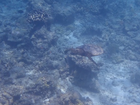 e0387424_11180255.jpg