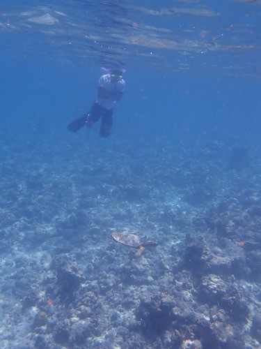 e0387424_11180275.jpg