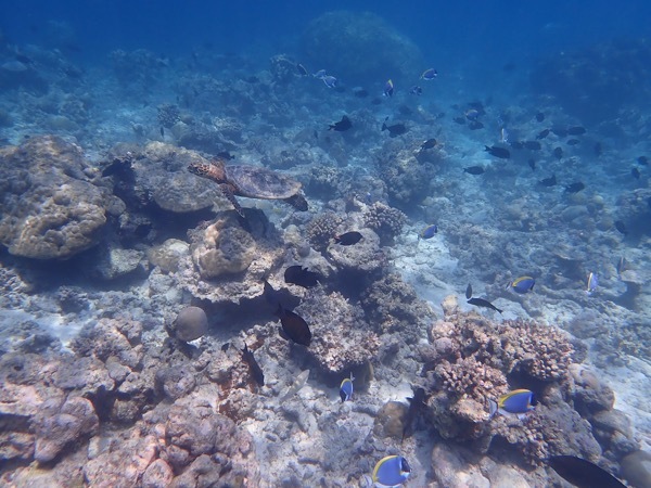e0387424_11191500.jpg