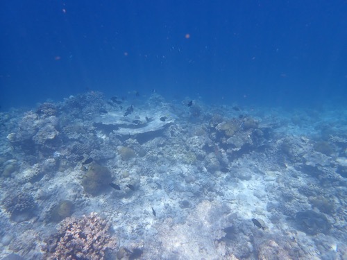 e0387424_11191502.jpg