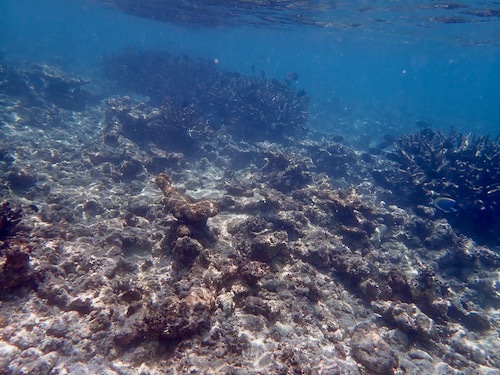 e0387424_11231608.jpg