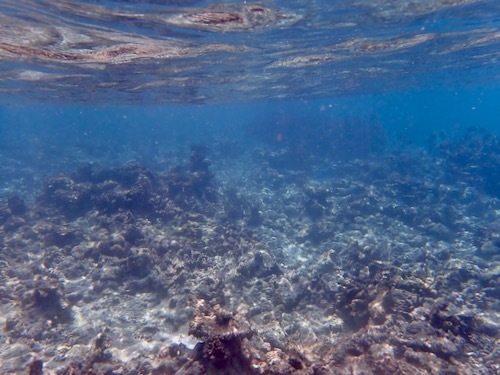 e0387424_11231634.jpg
