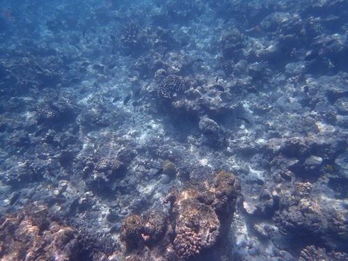 e0387424_11231666.jpg