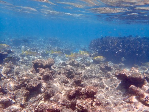 e0387424_11234632.jpg