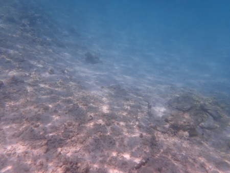 e0387424_11235907.jpg