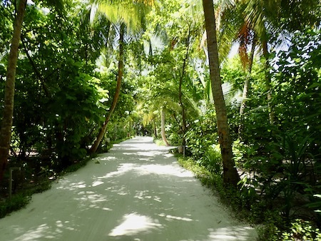 e0387424_11241681.jpg
