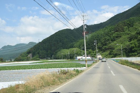 c0162128_16463514.jpg
