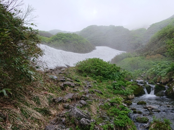 f0118332_11111490.jpg