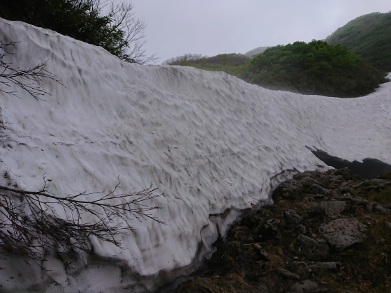 f0118332_11112650.jpg