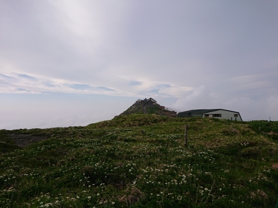 f0118332_11124393.jpg
