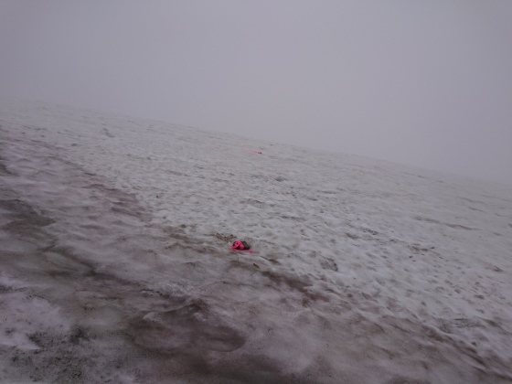 f0118332_11150250.jpg