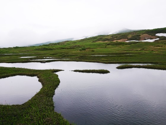 f0118332_11160835.jpg
