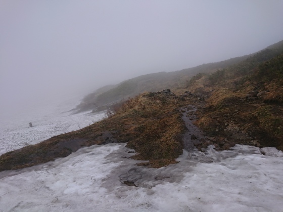 f0118332_11172054.jpg