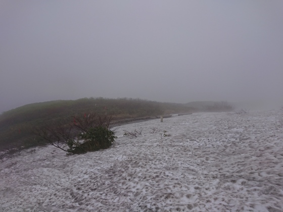 f0118332_11190807.jpg