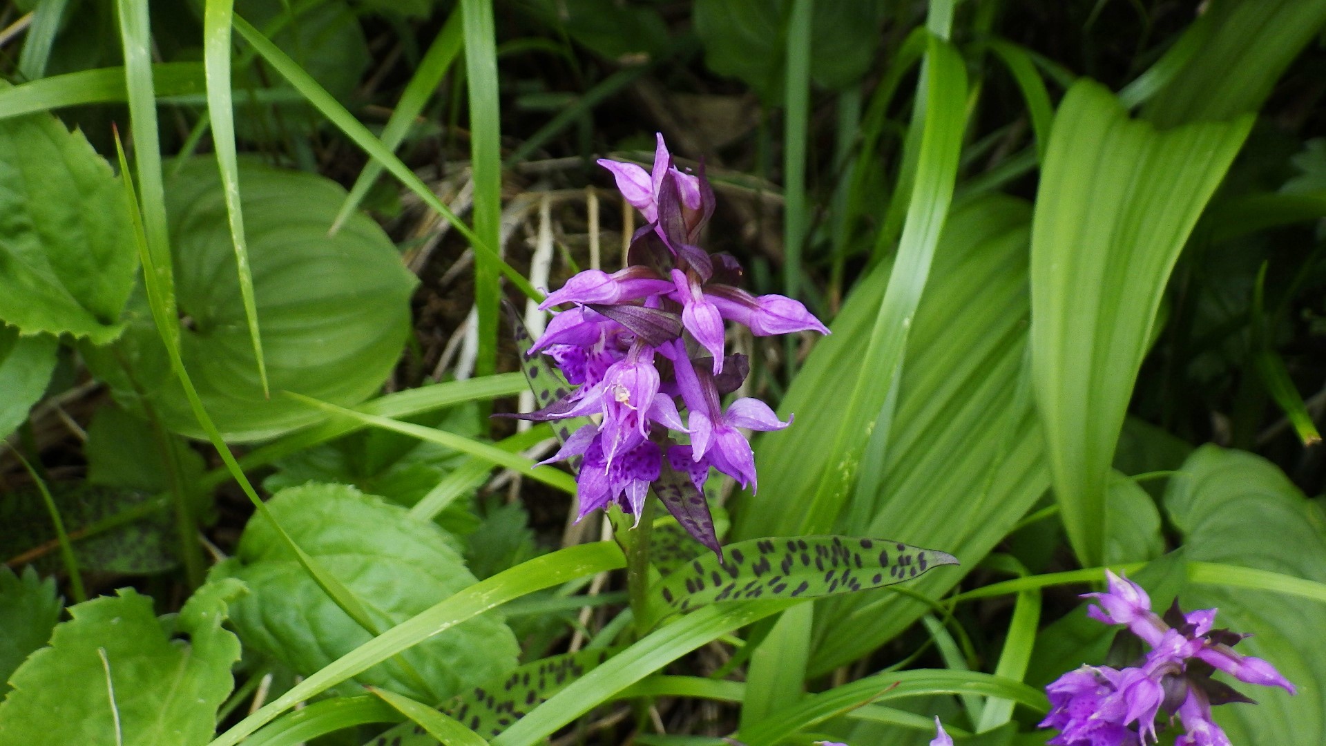 f0118332_12161280.jpg