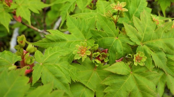 f0118332_12171295.jpg