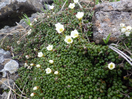 f0118332_12172673.jpg