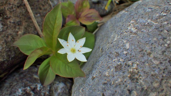 f0118332_12174961.jpg