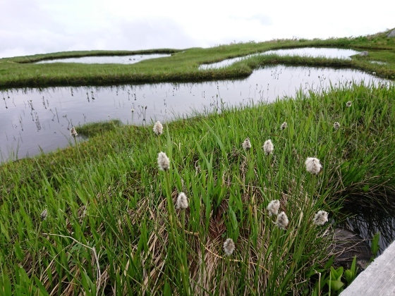 f0118332_12191660.jpg