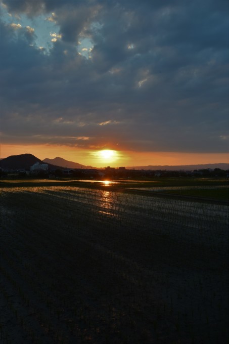 明日香村からの水田の夕日_a0228333_21562283.jpg