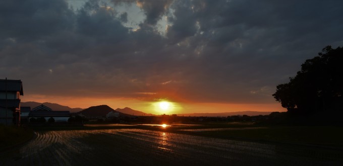 明日香村からの水田の夕日_a0228333_21564506.jpg