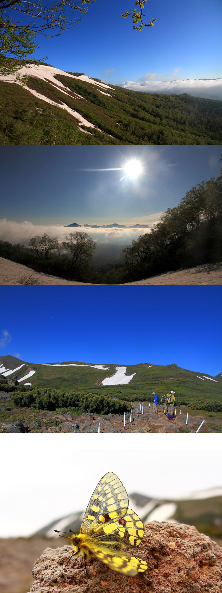 d0069235_12324484.jpg