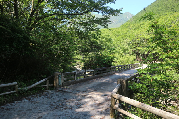 e0272335_2004339.jpg