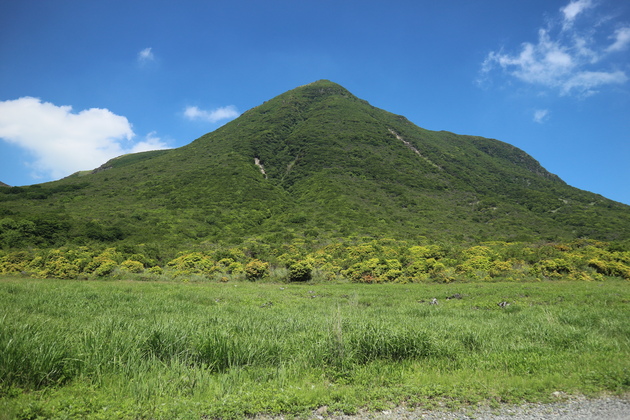 e0272335_2010690.jpg