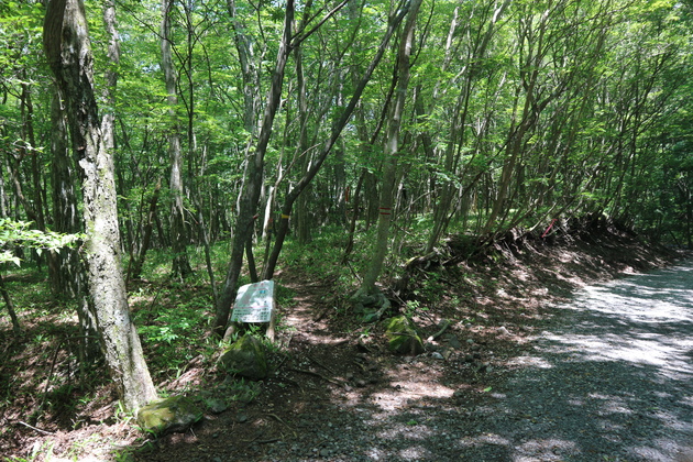 e0272335_2027137.jpg