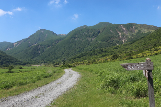 e0272335_2051259.jpg