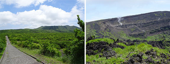 ＊＊伊豆大島・リラの不思議（１）＊＊_c0319737_00234158.jpg