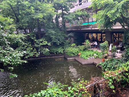 世田谷区役所職員食堂_d0248537_06463000.jpg