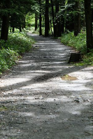 c0148238_21390870.jpg