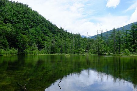 c0148238_21392897.jpg