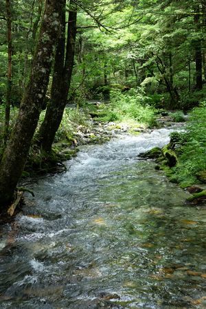 c0148238_21393741.jpg