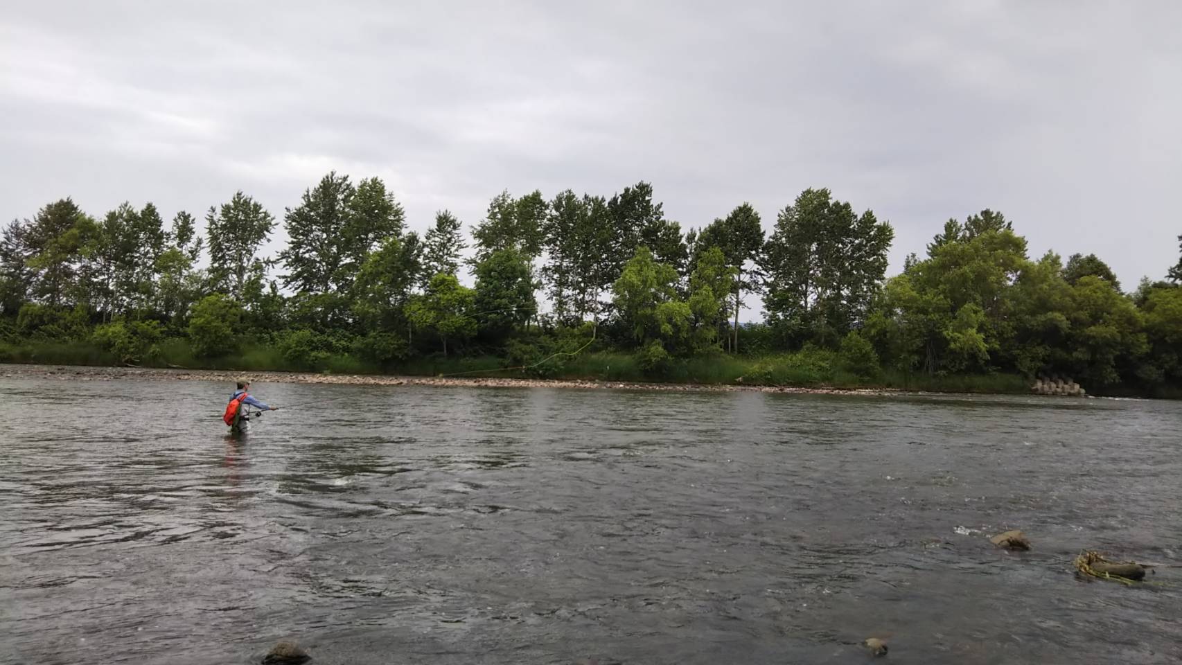 e0242439_01405939.jpg
