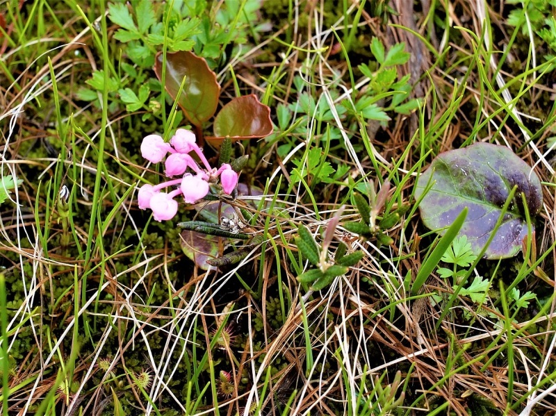 d0347140_13505565.jpg