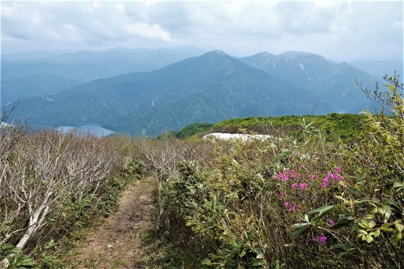 d0347140_14432848.jpg