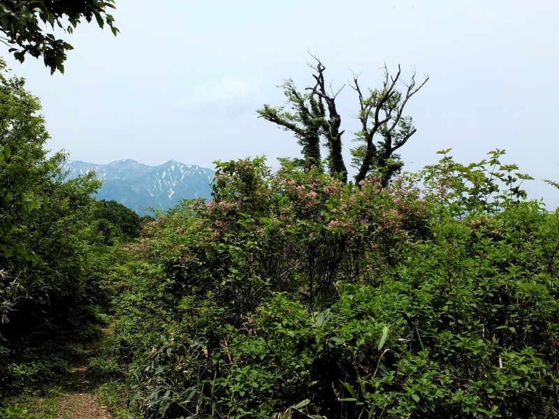 d0347140_14515898.jpg