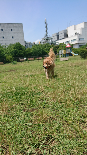a0329943_15144921.png